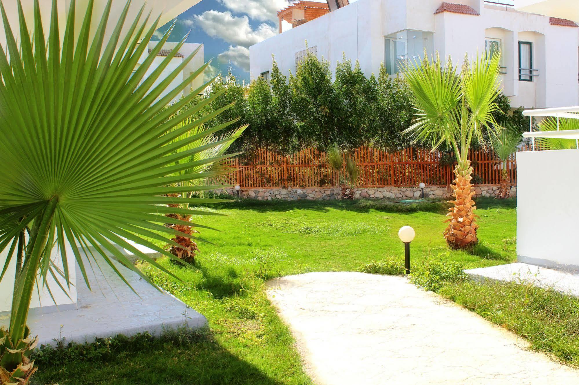 Viking Club Hotel Sharm El Sheikh المظهر الخارجي الصورة